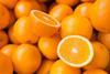 hort-innovation-citrus-oranges-website