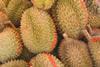 Durian_01.jpg