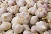 Scottish garlic company rescues French growers