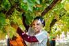 South Africa raisin production