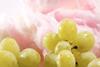 Cotton Candy Floss grape Grapery Mack