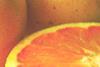 Grapefruit