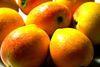 Mixed fortunes for Israeli exotics