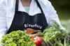 Riverford salad hots up