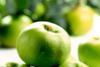 Armagh Bramley apples gain PGI status