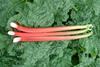 Yorkshire Rhubarb credit yorkshirerhubarb