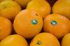 Vitor navel oranges Australia