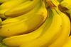 Bananen_71.jpg