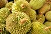 durian malaysia