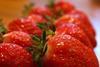 French strawberries