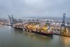 MSC Allegra in Belgium