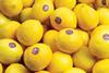 Meyer lemons Giumarra