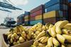 Banana boxes in front of shipping containers Adobe Stock