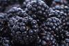 Blackberries