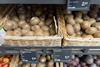 Italian and Greek kiwifruit