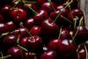 Tasmanian cherries