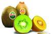 Zespri kiwifruit exports 'to be lower than 2011'