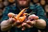 Some 79 per cent of UK consumers feel positive towards fruit and vegetable growers