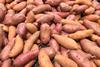 GEN Sweet potatoes AdobeStock_106166488