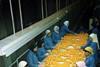 Egyptian oranges are angering Spanish growers