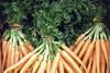 Weather takes its toll on vegetable sector