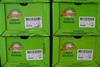 Zespri Green boxes