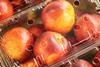 South African stonefruit plastic packaging