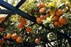 Convenience of easy peelers boosts citrus