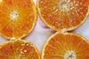Mandarossa clementine