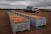 Aus Citrus Mildura