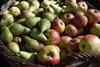 apfel-birne-Marcus61-pixabay-2022-apples-4174409