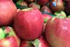 GEN apples Pink Lady UK