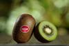 Oscar-Kiwis_01.jpg