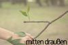 Foto: Bundesinformationszentrum Landwirtschaft