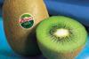 Zespri Green kiwifruit