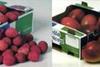 Capespan hopes to export almost one million cartons of mangoes and litchi's this season