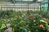 csm_PI2025-06_Bild1_PGR-KartoffelPommorrowGfPi_147cf08835