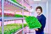 Wachstumslicht: Signify stattet Europas größten Vertical-Farming-Betrieb mit LED‘s aus