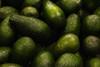 Generic green Hass avocados closeup Adobe Stock