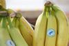 Rainforest Alliance bananas