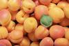 Generic fresh apricots Adobe Stock