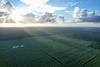 Fyffes banana farm Belize