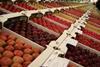 National Fruit Show to host Paice