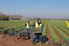 Growers are seriously concerned about plans to require employers to pay the travel and visa costs of seasonal workers