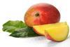 Mango_fruit_studio_is_12103997