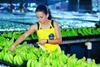 Chiquita returns to form