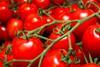 Tomatoes generic