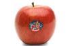Jazz apple NZ