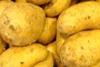 frühkartoffeln_Web_10.jpg