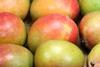 Generic mangoes closeup